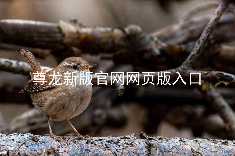 尊龙新版官网网页版入口