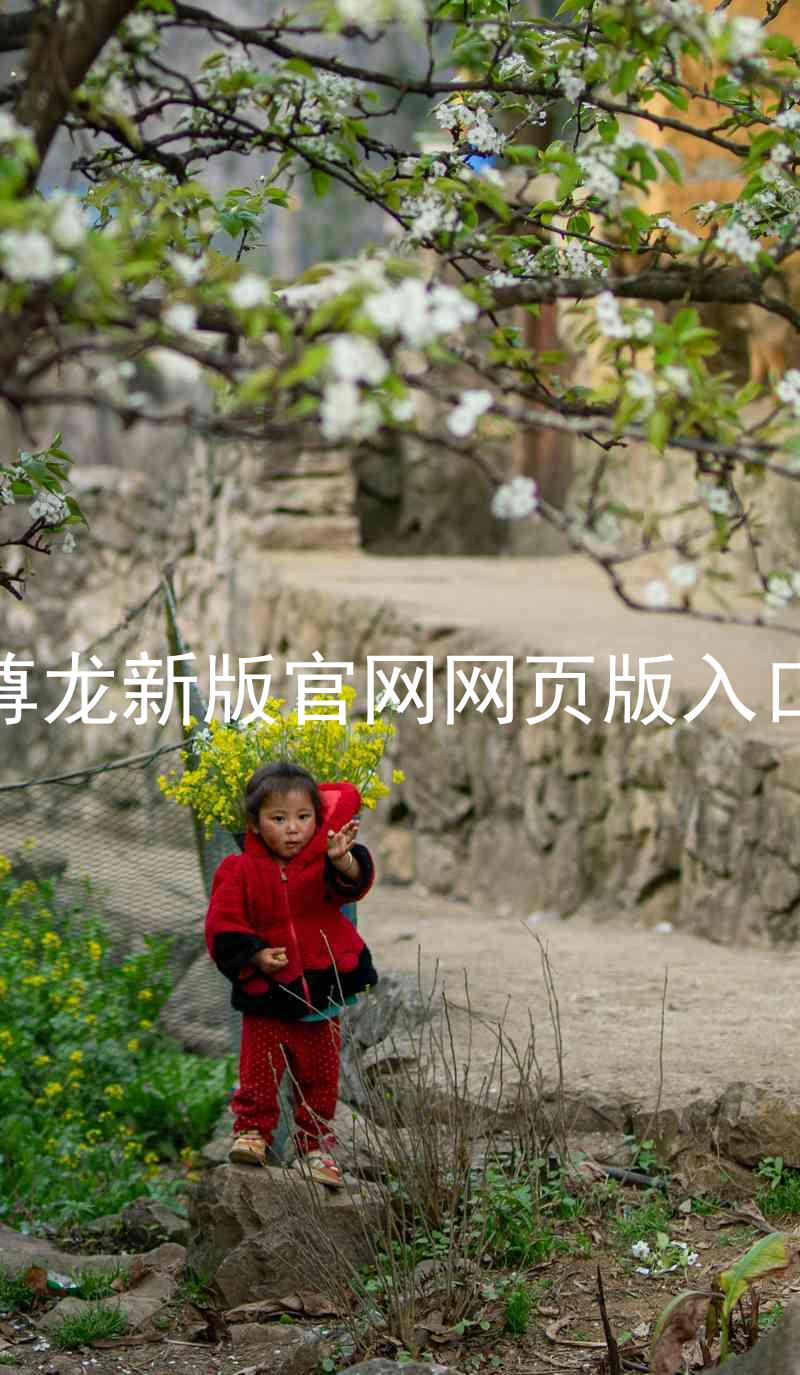 尊龙新版官网网页版入口